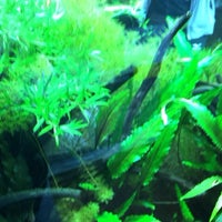 Okinawa Bianco 新都心 1 Tip