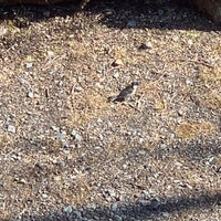 西湖野鳥の森公園 4個のtips 西湖野鳥の森公園 4個のtips