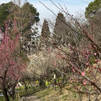 Photo taken at 花の文化園 by S.Kajimoto on 3/4/2023