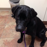 Creature Comforts Veterinary Hospital 3 Tips From 131 Visitors