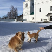 Photo taken at Васильевский мужской монастырь by klukva on 2/25/2017