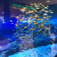 Photo taken at Dubai Aquarium by Jan P. on 3/17/2024