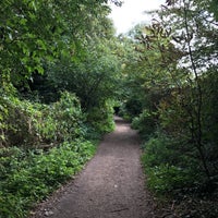 Photo taken at Parkland Walk (Muswell Hill Section) by Hammad Z. on 9/23/2017