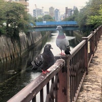 目黒川船入場 Plaza En 中目黒