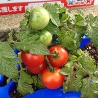 Photo taken at Keiyo Elementary School by Hidenori H. on 6/28/2012