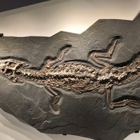 Photo taken at Dan L Duncan Hall of Paleontology by Jessica G. on 1/23/2016