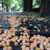 Photo taken at 文化人類学機器室・学生室 by Eitaro S. on 9/30/2014