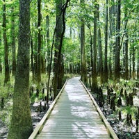 Photo taken at Congaree National Park by Dustin W. on 11/6/2021