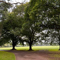 Photo taken at Bute Park by R B. on 8/11/2023