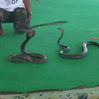 Photo taken at Thonburi Snake Farm by Hendy S. on 12/23/2012