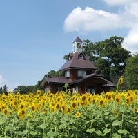 飯山市菜の花公園 飯山市 3 Tips From 281 Visitors