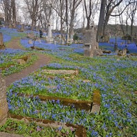 Photo taken at Bernardine Cemetery by Ele on 4/16/2021