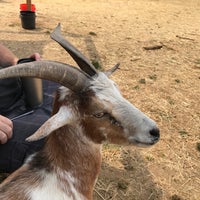 Das Foto wurde bei The Belmont Goats von Shaan H. am 8/6/2017 aufgenommen