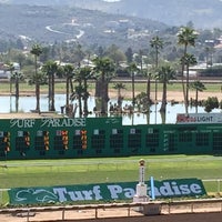 Photo taken at Turf Paradise by Jamee on 3/3/2018