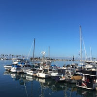 11/4/2017 tarihinde Sigmashatabdhi P.ziyaretçi tarafından San Diego Whale Watch'de çekilen fotoğraf