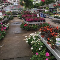 Mahoney S Garden Center Flower Shop In Tewksbury