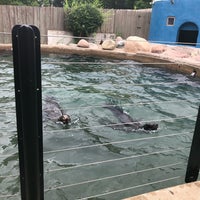 Foto diambil di Utica Zoo oleh Gina G. pada 8/26/2018