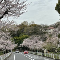 Photo taken at 富岡総合公園 by Ken3 on 3/27/2023