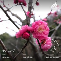Photo taken at 富岡総合公園 by Ken3 on 1/30/2022