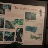 Photo taken at The Rain Forest by Howard M. on 1/20/2017