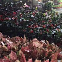 Sin Nursery Lot 53 Jalan Kampung Melayu Subang Furniture Home Store