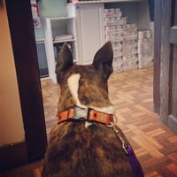 glen veterinary clinic