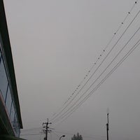 ローソン 三次西酒屋町店 三次市 広島県