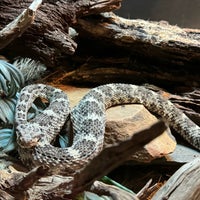 Das Foto wurde bei Zoo Atlanta von harryh am 11/24/2023 aufgenommen