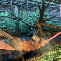 Photo taken at Singapore Zoo by Magnus H. on 2/5/2023
