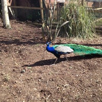 Photo taken at Hanwell Zoo by Parminder B. on 4/2/2013