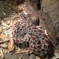 รูปภาพถ่ายที่ New York State Zoo at Thompson Park โดย Chacha เมื่อ 10/6/2012