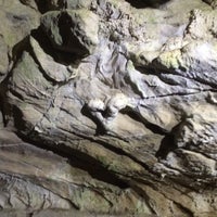 7/7/2016에 Teri W.님이 Oregon Caves National Monument에서 찍은 사진