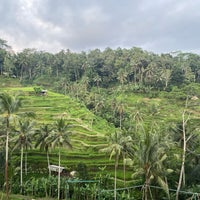 Photo taken at Tegallalang Rice Terraces by Apoorv on 4/27/2024