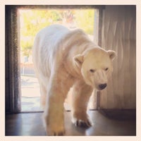 東山動物園 ホッキョクグマ舎 千種区 Nagoia 愛知県