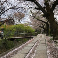 Photo taken at Philosopher&amp;#39;s Path by Chie on 4/11/2024