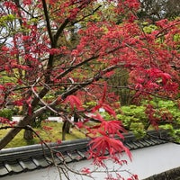 Photo taken at Eikando Zenrin-ji by Chie on 4/11/2024