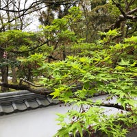 Photo taken at Eikando Zenrin-ji by Chie on 4/11/2024