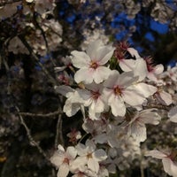 Photo taken at Shukugawa Park by Chie on 4/11/2024