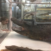 Photo taken at Zoological Museum by Кэт on 12/16/2021