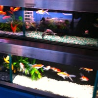 The Aquatic Design Centre Now Closed West End London