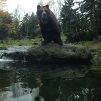 Photo taken at Bear Exhibits by Frank S. on 11/3/2012