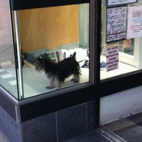 Puppies Fish Critters Pet Supplies Store in Surrey