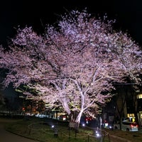 Photo taken at Utsukushigaoka Park by Soda_9 on 4/9/2022