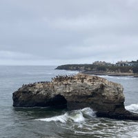 Photo taken at Natural Bridges State Beach by J S. on 10/15/2022