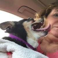 Chestnut Mountain Animal Hospital - Veterinarian in Flowery Branch Chestnut Mountain Animal Hospital - Veterinarian in Flowery Branch