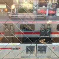 セリア Seria 渋谷区のディスカウントストア