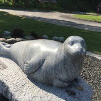 Andre The Seal 1 Tip