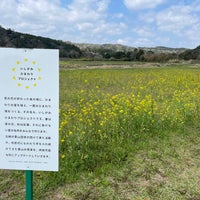 石神の菜の花畑 市原市 Da Diger Acik Alanlar