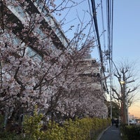 Photo taken at Kamakura by 082 on 2/27/2023