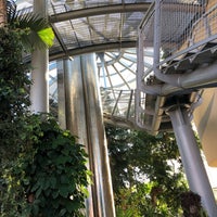 Sunderland Museum and Winter Gardens - 6 tips